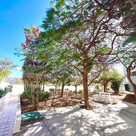 1 Bedroom In Americas! * 플라야데라스아메리카스